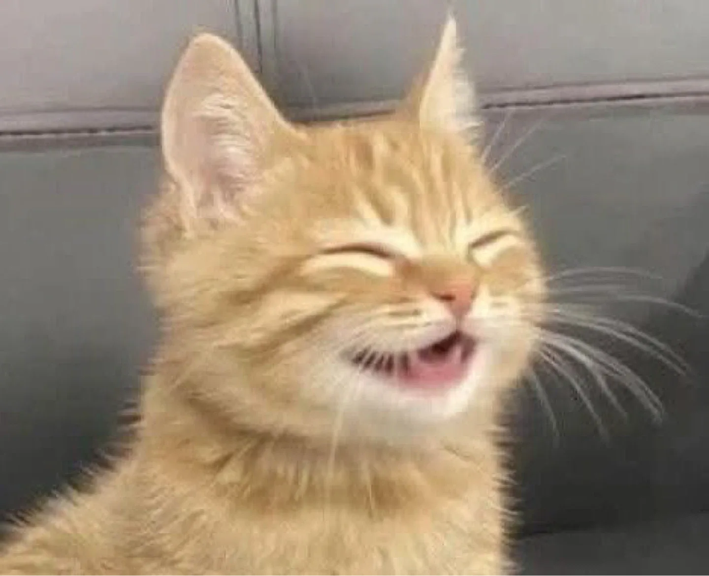 허니러스크