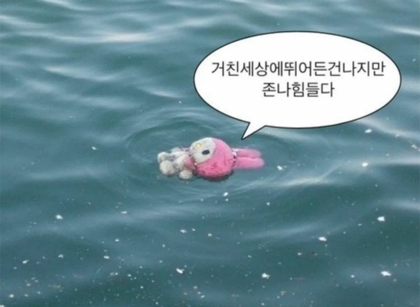 닉네임8512456