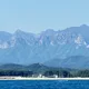 띵동