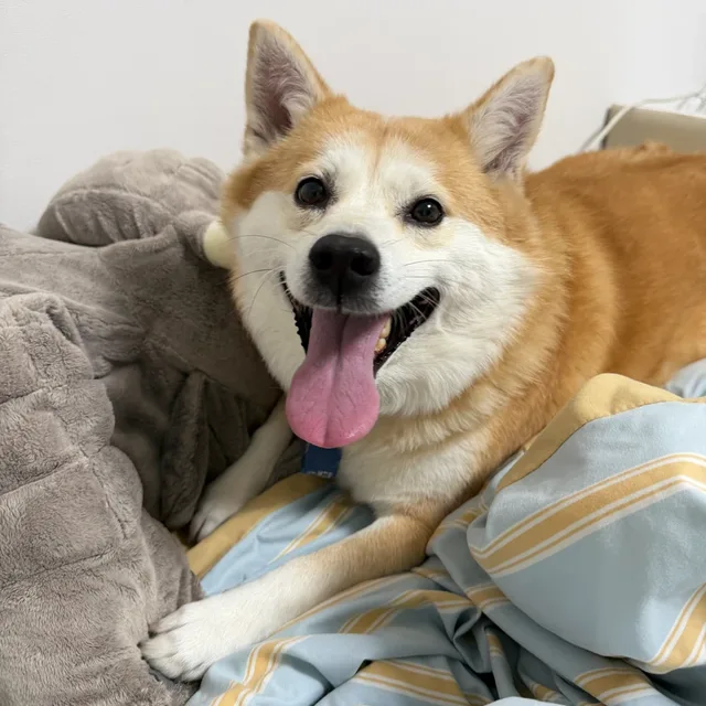 너뭐하닝