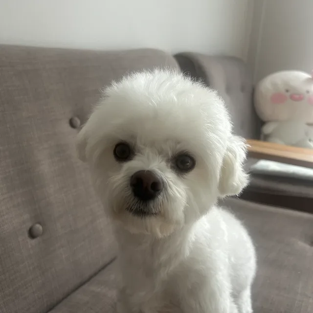 당그니5092