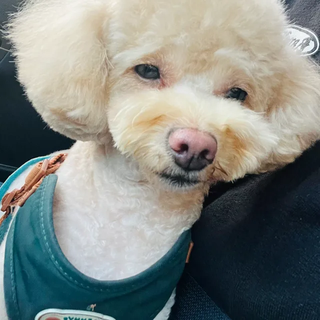 다람쥐산악회