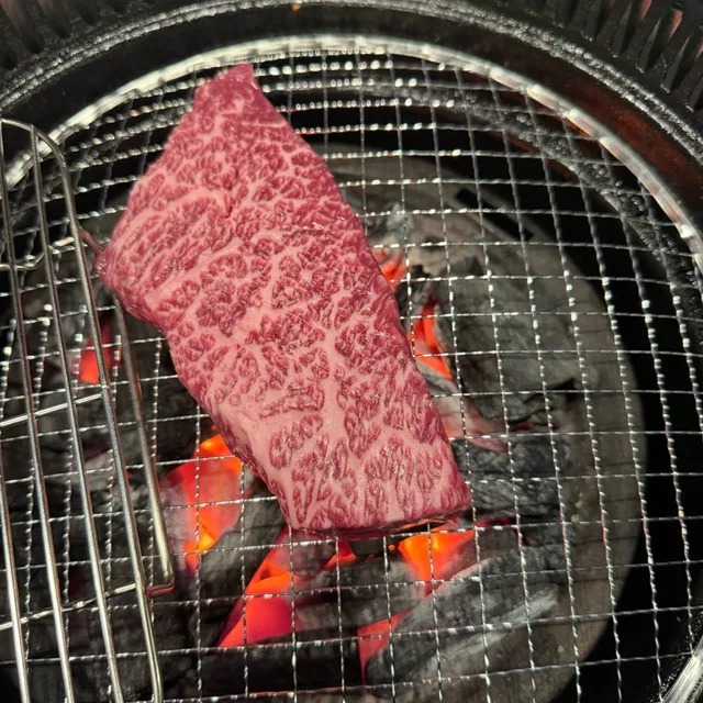 다원비엠