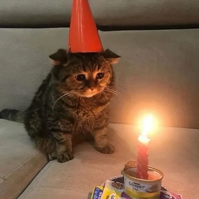 감자