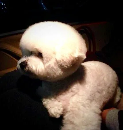 봉수와