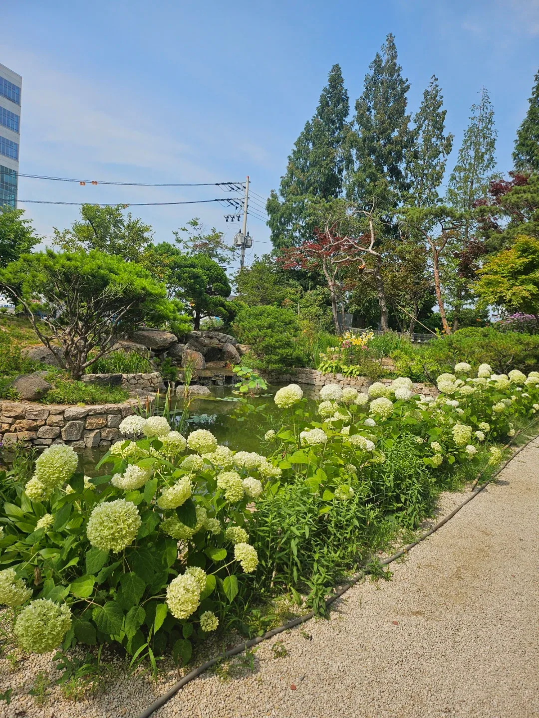 구름