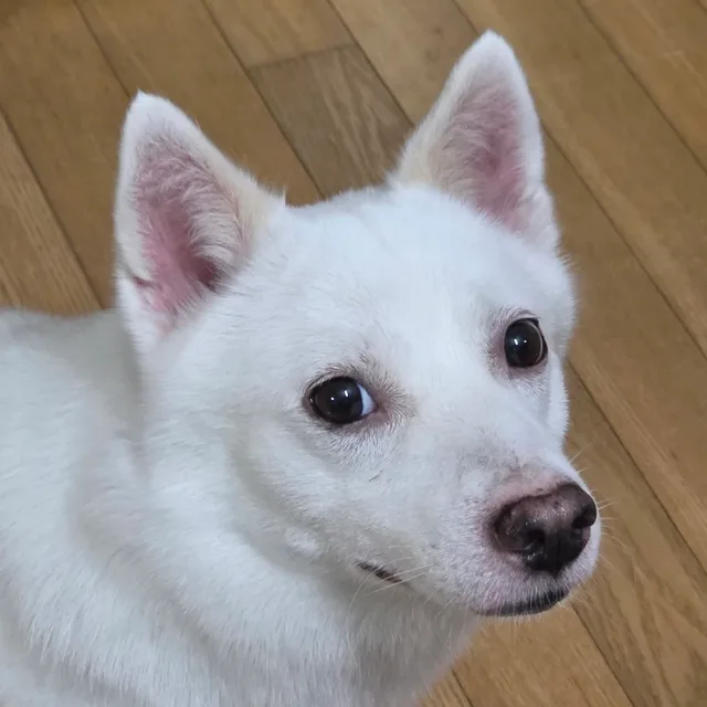 흐익