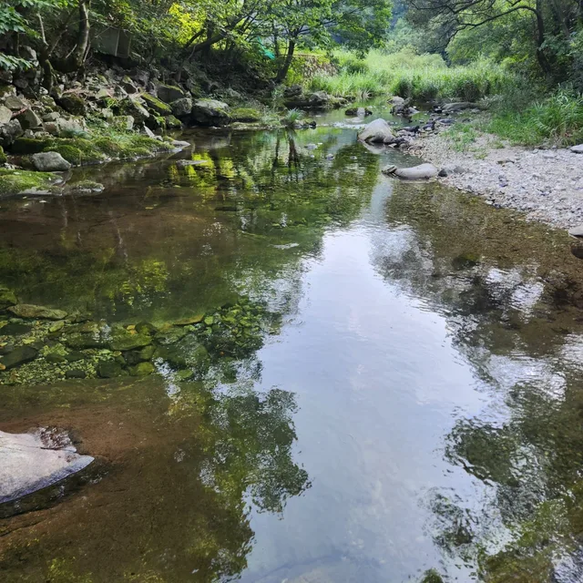 금부동산