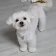 유빠