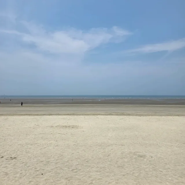 감자