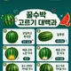 춴씽퀀씽