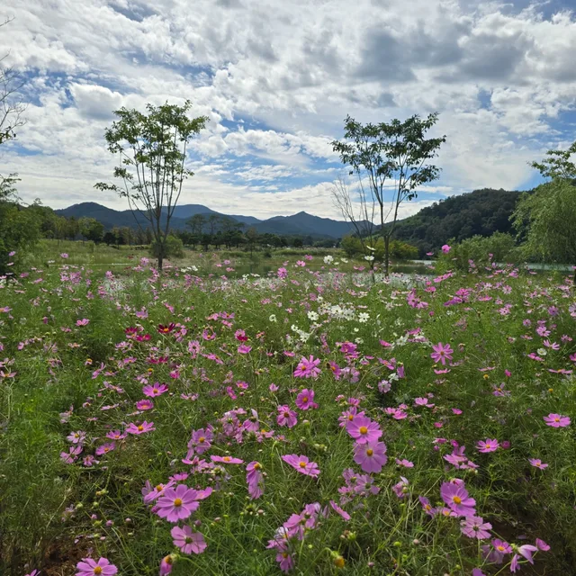 행복