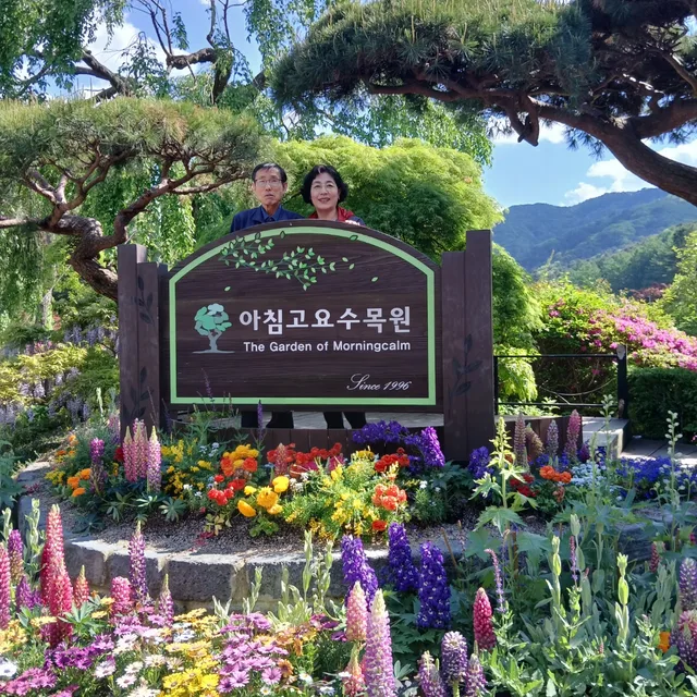 미로댁