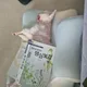 이릉사마천백두혈통