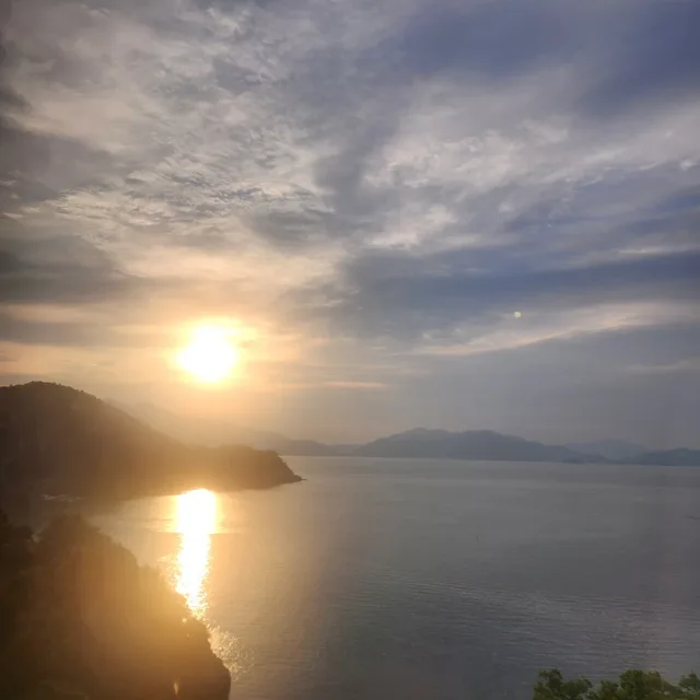 알바전문