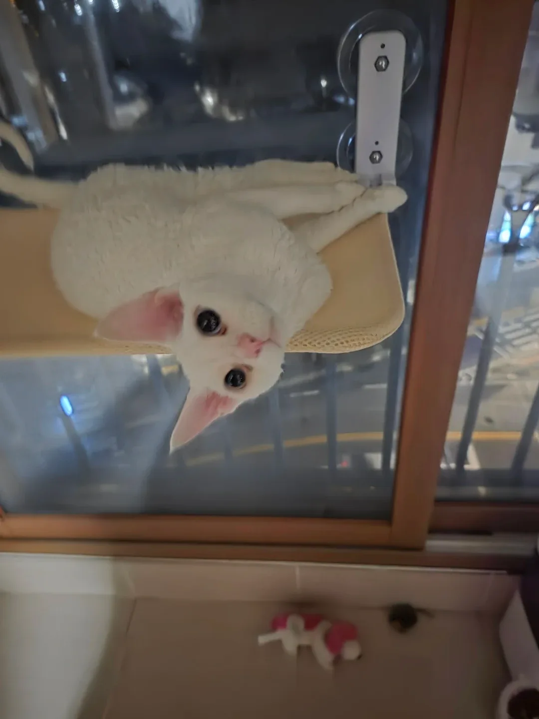 연하
