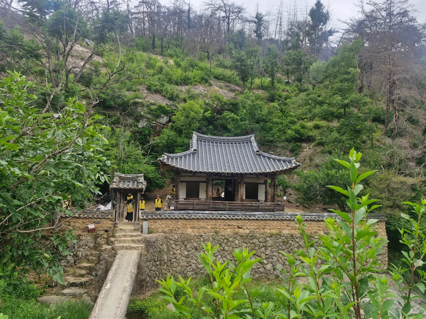 당근당근당근