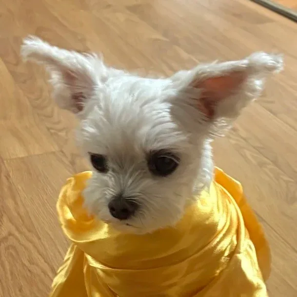 이민형