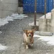 사랑이네