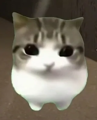 데이캣