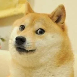 간보지마세요