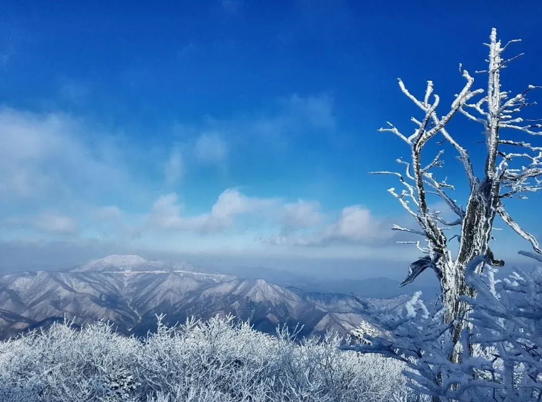 제트기