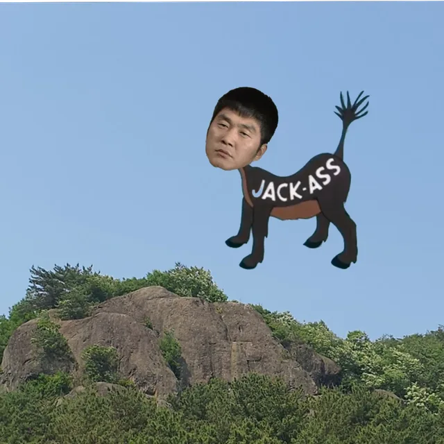황곰라이더푸
