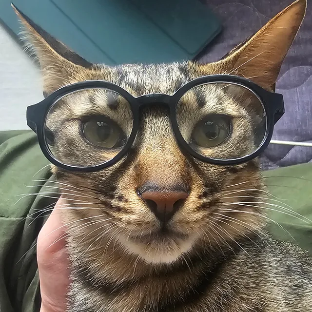 여수로