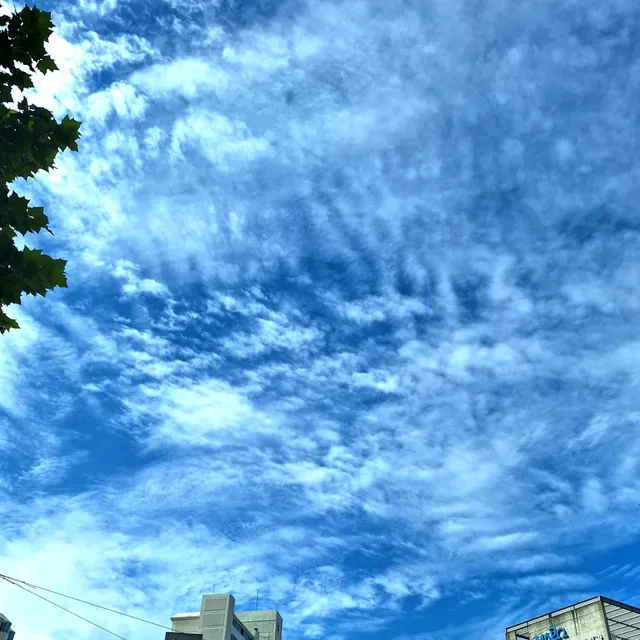누구게