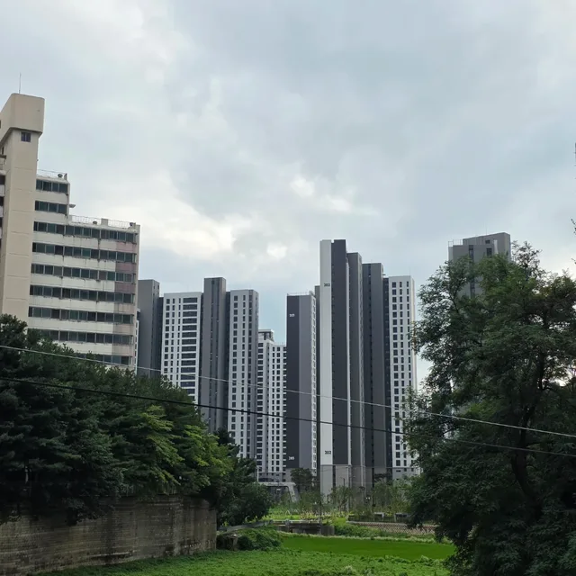 찌리리공