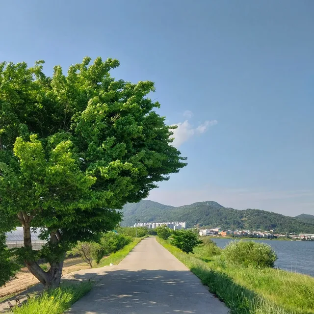 허윤