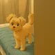 쭈니