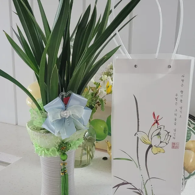 까꿍66