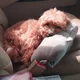 행복