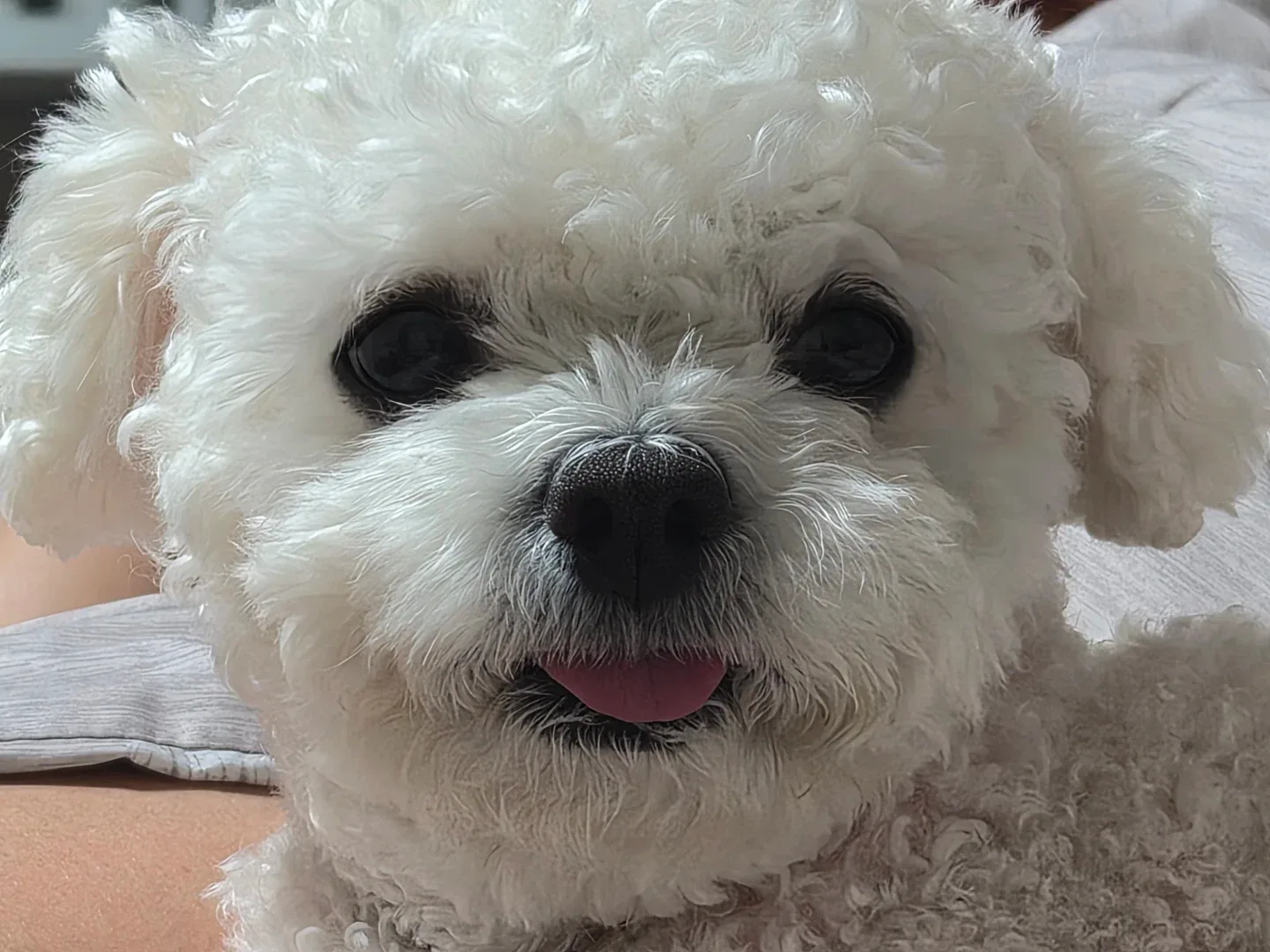 숑이맘