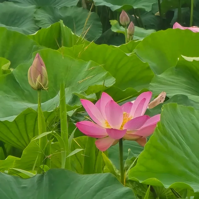 한달정리