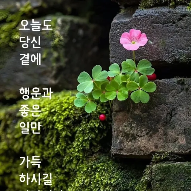 깜지