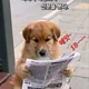 당근이유