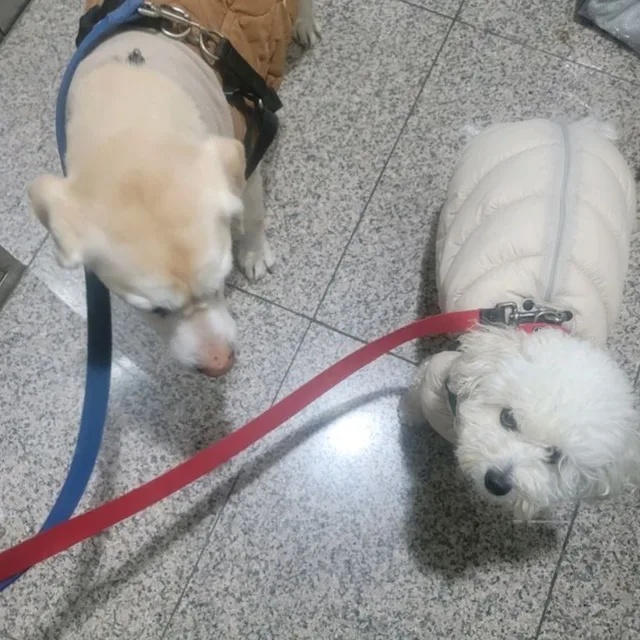 여름