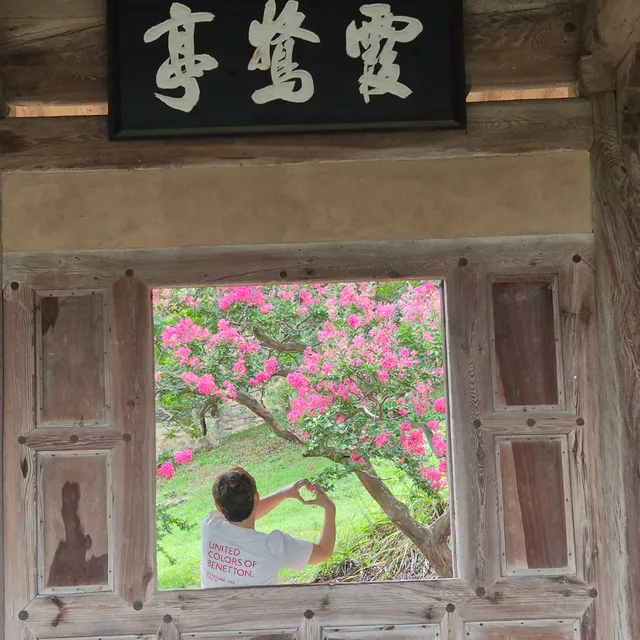 백로