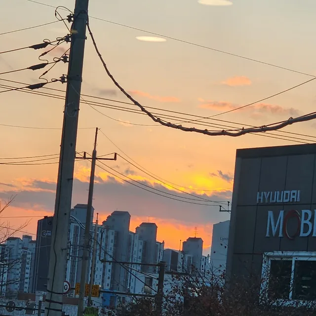 로즈마리
