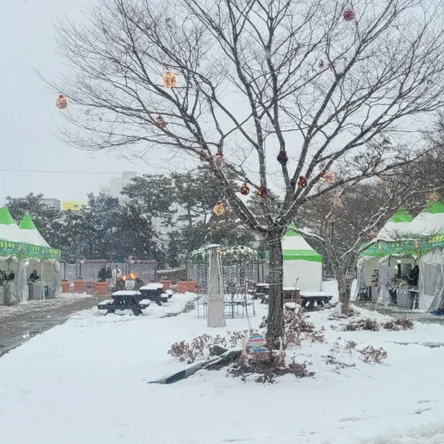 부산연못