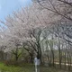 옘지
