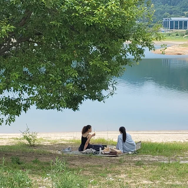 스완