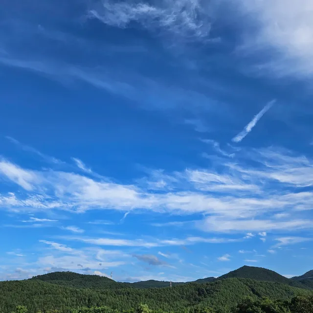 겸손하라