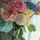 발없는새