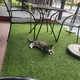 리얼카페