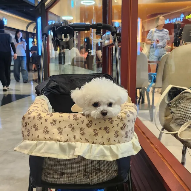 함박웃음