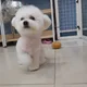 파주알콜