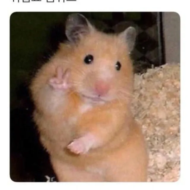 춘자